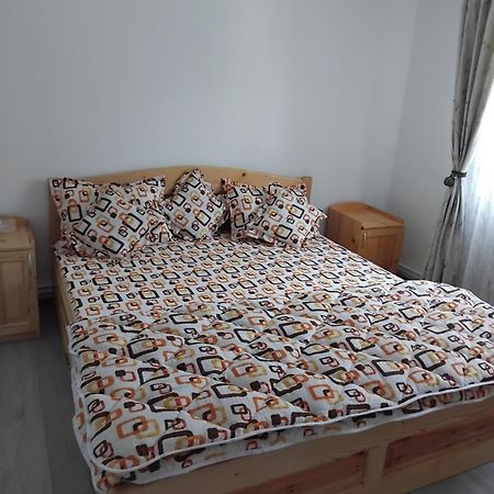 Apartament Rusu Nehoiu Extérieur photo
